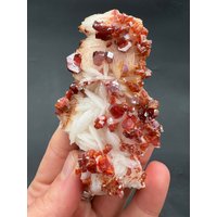 Gemmy Deep Red Vanadinite On Barite Cluster Collector Specimen From Morocco Mineral Gemstone von steingo