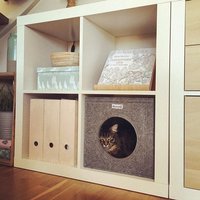 Katzenhöhle Katzenkorb Katzenbett Als Regalkorb Aus Filz Passend Für Ikea Expedit Und Kallax Katzenhöhle Katzenkorb Katzenbett Als Regalkorb Aus Filz Passend Für Ikea Expedit Und Kallax von stichhaltig