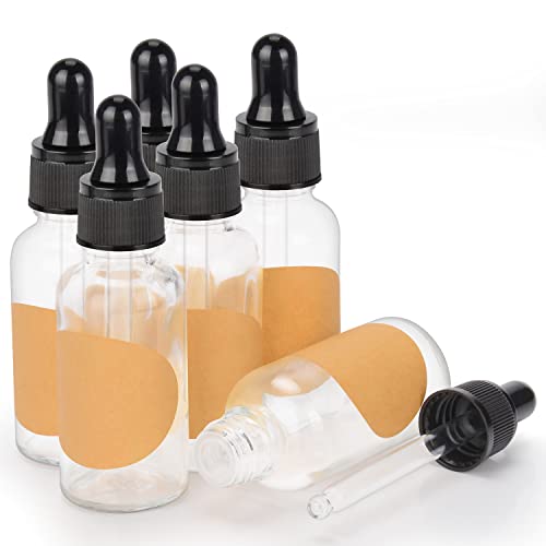 stonylab 6er-Pack Glas Tropfflasche, Leere Glasflasche mit Kegelförmigem Glastropfer, Innenstöpsel und Etikett für Ätherische Öle, Aromatherapie-Düfte (30 ml, Transparent) von stonylab