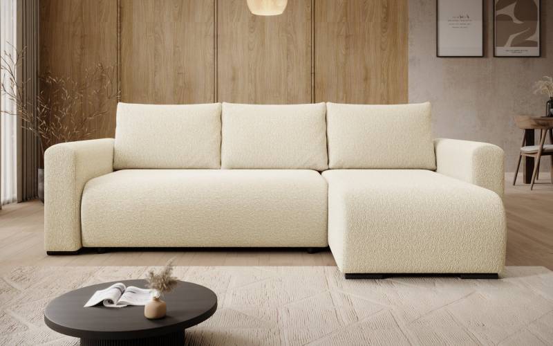 storez24 Ecksofa Tally, mit Bettkasten und Schlaffunktion, L-Form, bequem storez24 Ecksofa Tally, mit Bettkasten und Schlaffunktion, L-Form, bequem von storez24