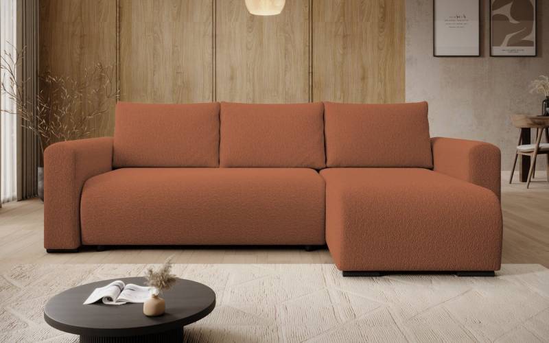 storez24 Ecksofa Tally, mit Bettkasten und Schlaffunktion, L-Form, bequem storez24 Ecksofa Tally, mit Bettkasten und Schlaffunktion, L-Form, bequem von storez24