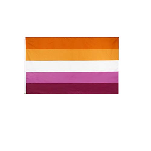 Stormflag Homosexualität Lesben Flagge 90x150cm Lesbische Pride -Flagge 3x5ft Polyester Pongee 90g mit Ösen mit Doppelnadel genäht. von stormflag