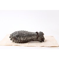 Vintage Fisch Backform Aus Frankreich F1 von strandholzshop
