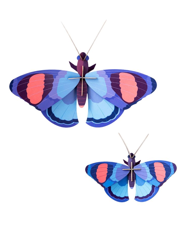 studio ROOF Wanddekoobjekt Deluxe Peackock Butterfly Wanddeko 3D studio ROOF Wanddekoobjekt Deluxe Peackock Butterfly Wanddeko 3D von studio ROOF