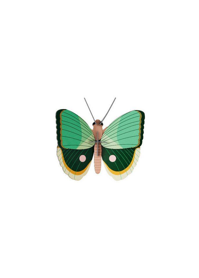 studio ROOF Wanddekoobjekt Wanddeko 3D Farngestreifter Schmetterling studio ROOF Wanddekoobjekt Wanddeko 3D Farngestreifter Schmetterling von studio ROOF