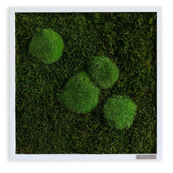 Moosbild im Wald- und Kugelmoosdesign | 35x35cm | Vollholz Rahmen weiß von styleGREEN