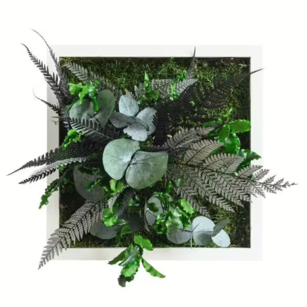 Pflanzenbild im Dschungeldesign 22x22cm | Vollholz Rahmen weiß von styleGREEN