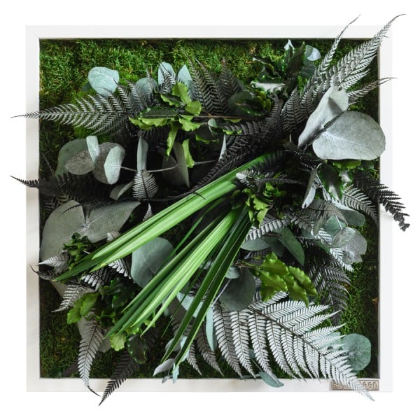Pflanzenbild im Dschungeldesign 35x35cm | Vollholz Rahmen weiß von styleGREEN