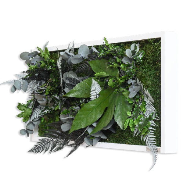 Pflanzenbild im Dschungeldesign 57x27cm | Vollholz Rahmen weiß von styleGREEN