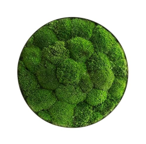 styleGREEN Moosbild: Kugelmoos-Ellipsoid 34cm styleGREEN Moosbild: Kugelmoos-Ellipsoid 34cm von styleGREEN