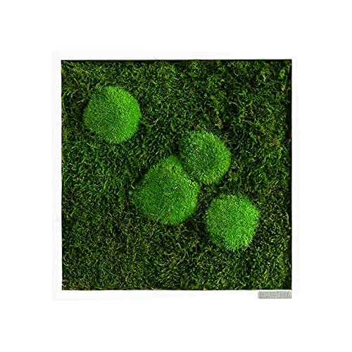 styleGREEN Moosbild: Wald- und Kugelmoosbild 35x35 cm von styleGREEN