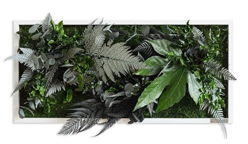 styleGREEN Pflanzenbild im Dschungeldesign 57x27cm Vollholz (weiß) von styleGREEN