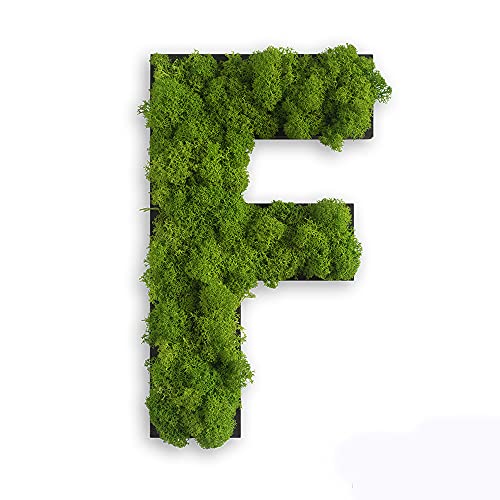 styleGREEN Piktogramm: Buchstabe F Islandmoos styleGREEN Piktogramm: Buchstabe F Islandmoos von styleGREEN