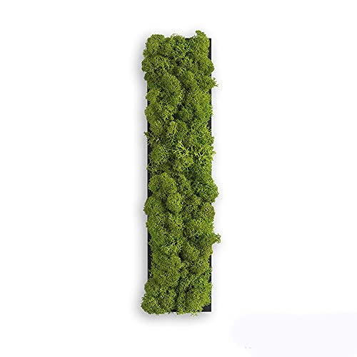 styleGREEN Piktogramm: Buchstabe I Islandmoos styleGREEN Piktogramm: Buchstabe I Islandmoos von styleGREEN