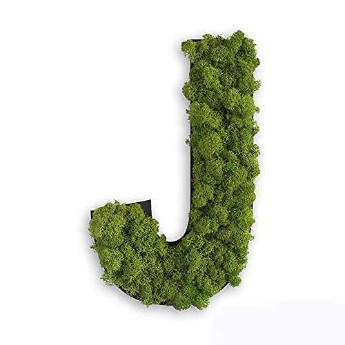 styleGREEN Piktogramm: Buchstabe J Islandmoos styleGREEN Piktogramm: Buchstabe J Islandmoos von styleGREEN