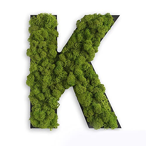 styleGREEN Piktogramm: Buchstabe K Islandmoos von styleGREEN