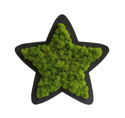 styleGREEN Piktogramm: Sternchen Islandmoos styleGREEN Piktogramm: Sternchen Islandmoos von styleGREEN