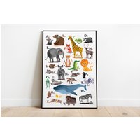 Kinderposter Abc Poster Alphabet Tiere - Schulanfang Tieralphabet von stypsstudio