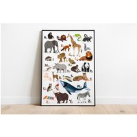 Kinderposter Poster - Abc Tieralphabet von stypsstudio