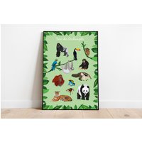 Kinderposter Poster Tiere - Aus Dem Dschungel Tierposter von stypsstudio