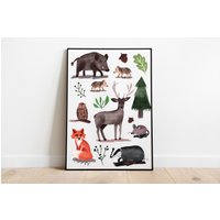 Kinderzimmer Poster - Illustration Tiere Des Waldes Waldtiere Kinderzimmerposter Fuchs, Hirsch, Wildschwein, Eule, Maus von stypsstudio