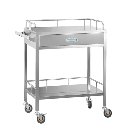 Rollwagen aus Edelstahl, medizinischer/zahnmedizinischer Laborwagen mit Lenkrollen, Schublade mit 48 Fächern, erhöhtem Geländer, für Schönheitssalon, Krankenhaus, Klinik, Zuhause(Silver,1st Floor) von sunbiaouk