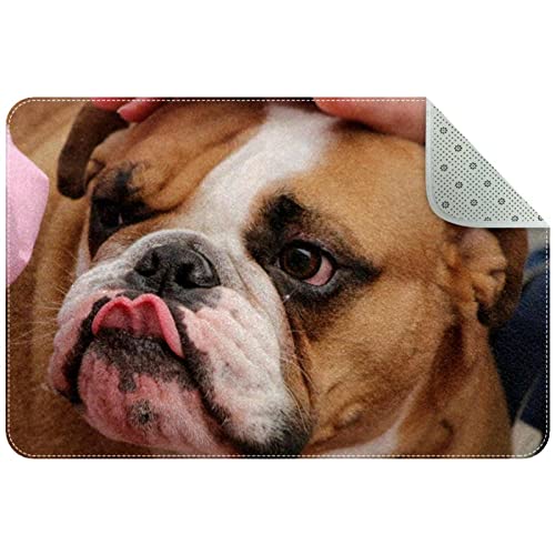 suojapuku Teppiche,Innentürmatte,Foto der französischen Bulldogge,waschbarer Teppich für Schlafzimmer,Wohnzimmer,Rutschfester Teppich von suojapuku