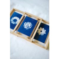 Cyanotypie Von Blumen in Transparentem Eichenrahmen Cyanotypie Von Blumen in Transparentem Eichenrahmen von swabdesign