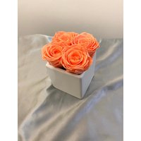 Konservierte Orange Rosen, Ewige Konserven Geschenk Für Immer Langlebige Rote Wohnkultur, Blumen von sweetflowersandlove
