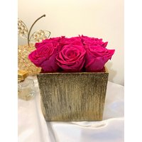 Konserviertes Rosengemil, Rosen, Lange Haltbare Rosen, Rote Wohndekoration, Blumen von sweetflowersandlove