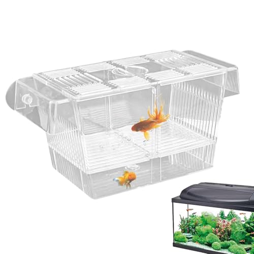 Fischzuchtbox – Inkubatorbehälter aus Acryl | Isolationsboxen für Babyfische | Trenn-Tank für Brutkästen | Inkubator-Züchterbox für verletzte Liegen P von syayw