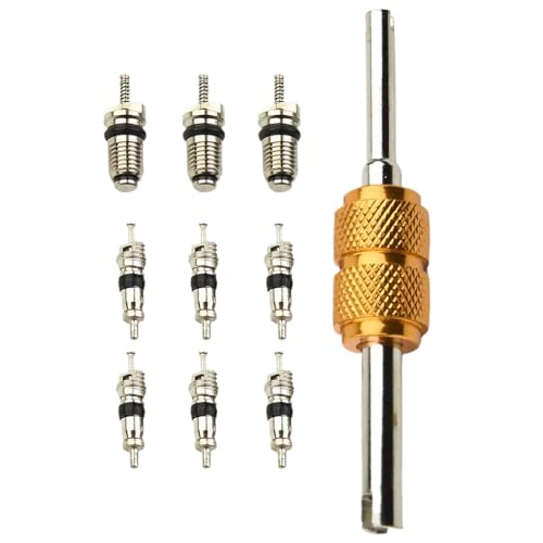 Klimaanlage Ventilkern -Kit, 10 Teile A/C -Kühlsystem R12 & R134A VVALVE CORRE AC SERVICE SEAL Dichtung Dichtungskappe von szaluyk