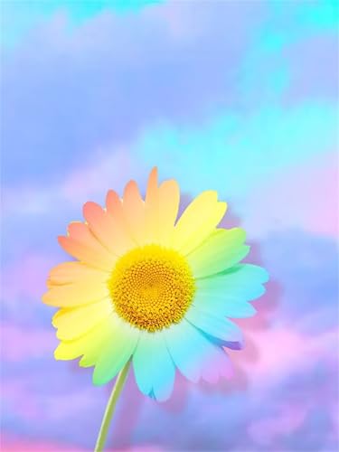 Malen Nach Zahlen Erwachsene Buntes abstraktes Gänseblümchen,DIY Handgemalt Ölgemälde Leinwand Kits für AnfÃnger,mit Pinseln Acrylfarben Paint by Numbers Kits fur Heimdekoration mit Rahmen,55x70cm von taesdvry