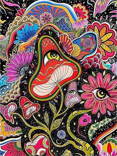 Paint by Numbers,Abstract Flowers Paint by Numbers Kits on Canvas for Adults,DIY with frame Hand Painted Oil Painting Kits,with Brushes Easy Acrylic Pigment Drawing for Home Wall Decor 30x40cm von taesdvry