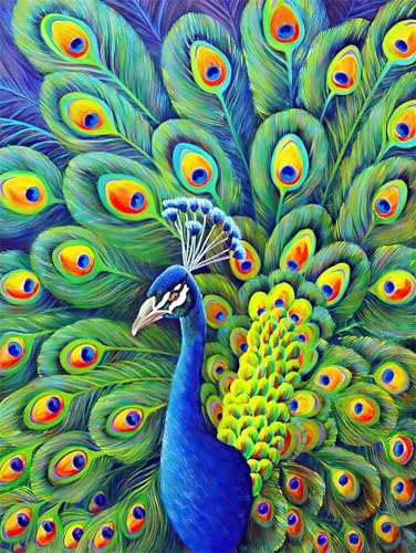 Paint by Numbers,Blue Green Peacock Paint by Numbers Kits on Canvas for Adults,DIY with frame Hand Painted Oil Painting Kits,with Brushes Easy Acrylic Pigment Drawing for Home Wall Decor 30x40cm von taesdvry