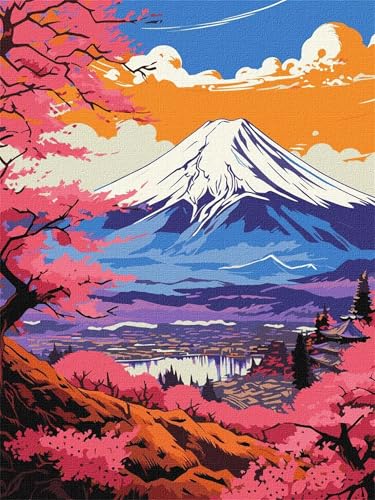 Paint by Numbers,Mountains Grasslands Paint by Numbers Kits on Canvas for Adults,DIY with frame Hand Painted Oil Painting Kits,with Brushes Easy Acrylic Pigment Drawing for Home Wall Decor 30x40cm von taesdvry