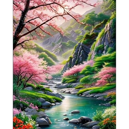 Paint by Numbers,Valley Creek Paint by Numbers Kits on Canvas for Adults,DIY with frame Hand Painted Oil Painting Kits,with Brushes Easy Acrylic Pigment Drawing Paintwork for Home Wall Decor 30x40cm Paint by Numbers,Valley Creek Paint by Numbers Kits on Canvas for Adults,DIY with frame Hand Painted Oil Painting Kits,with Brushes Easy Acrylic Pigment Drawing Paintwork for Home Wall Decor 30x40cm von taesdvry