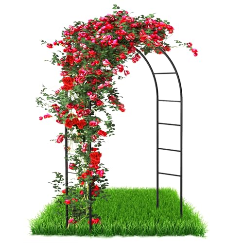 Torbogen Rankhilfe für Kletterpflanzen und Rosen,Rosenbogen Torbogen Gartenaus Metall Torbogen Garten Rankgitter Rosenhilfe aus Pulverbeschichtetem Stahl,Rosenbogen witterungsbeständig,240x140x38cm von talifoca