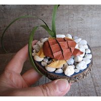 Tory Die Schildkröte-Origami-Kunst Von Papier Jünger Und Tanja Sova Tory Die Schildkröte-Origami-Kunst Von Papier Jünger Und Tanja Sova von tanjasova