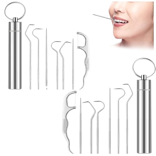 Zahnstocher Metall, 2pcs 7pcs 304 Edelstahl Zahnstocher Set Zahnstocher Portable Metall Zahnseide Toothpick Set Zahnstocher Metall Flossing Zahnstocher Set Aus Edelstahl Mundhygiene Set von taobosec