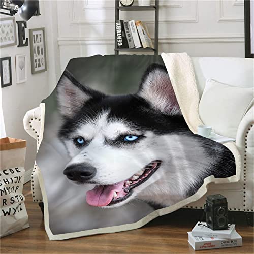 Decke Husky Bedruckte Sofadecke Fleecedecke Schlafsofa und Bett Ganzjahresdecke (180x220cm) 3D-Druckdecke von taotaozi