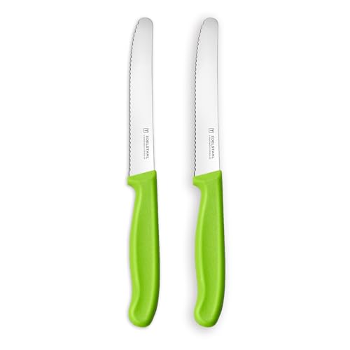 targzier Frühstücksmesser 2 Stück,Hochwertiges Brötchenmesser Set,Scharfe Messer mit Wellenschliff,Edelstahl Obstmesser,Schneidemesser,Kunststoffgriff Tomatenmesser,Grün Messerset von targzier