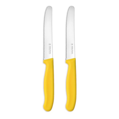 targzier Frühstücksmesser 2 Stück,Hochwertiges Brötchenmesser Set,Tomatenmesser mit Wellenschliff,Edelstahl Schneidemesser,Kunststoffgriff Scharfe Besteck Messer,Gelb Messerset von targzier