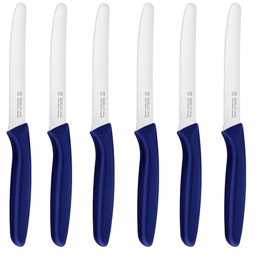 targzier Frühstücksmesser 6 Stück,Blaues Buttermesser aus Edelstahl,Tafelmesser - Küchenmesser - Brotmesser - Tomatenmesser,Scharfes Tischmesser mit Wellenschliff,Spülmaschinenfest. von targzier