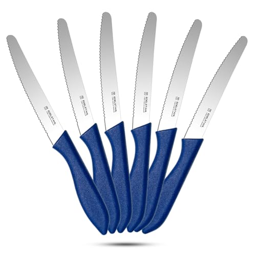 targzier Tafelmesser 6Stück, Brotmesser Mit Wellenschliff, Frühstücksmesser Aus Edelstahl, Scharfes Tomatenmesser, Klinge Mit Wellenschliff, Tafelmesser Mit Kunststoffgriff, Spülmaschinenfest, Blau von targzier