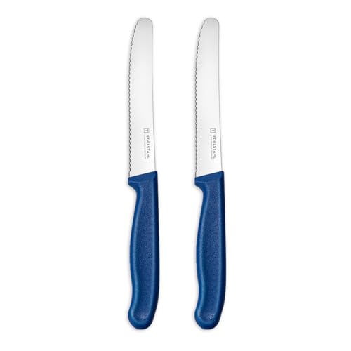 targzier Tafelmesser,Frühstücksmesser 2 Stück,Hochwertiges Brötchenmesser Set,Edelstahl Tomatenmesser Wellenschliff,Scharf Messer Set,Küchenmesser Klein,Kunststoffgriff Buttermesser,Blau von targzier