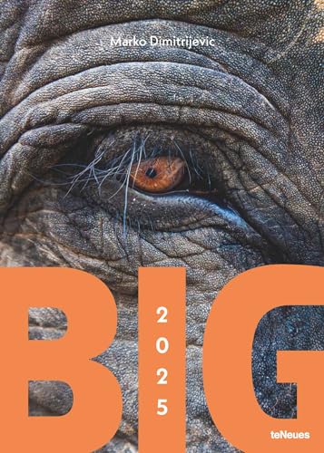 teNeues - Big 2025 Wandkalender, 50x70cm, Kalender mit den Giganten der Tierwelt, faszinierende und respekteinflößende Tiere, die zum Staunen ... mit Spiralbindung: Marko Dimitrijevic von teNeues