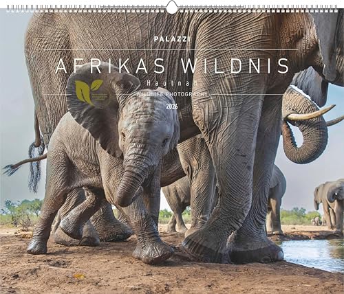 Hautnah - Afrikas Wildnis 2026 - Bild-Kalender - Poster-Kalender - 60x50: Wildlife Photography Hautnah - Afrikas Wildnis 2026 - Bild-Kalender - Poster-Kalender - 60x50: Wildlife Photography von teNeues