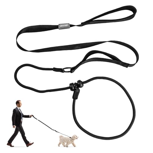 Hundeleine mit verschiebbarem Gummihalsband, verstellbar, 1,7 m, leichtes Seil, Hundetrainingsleine, Nylon, explosionssicher, verhedderungssicher, bequemer Griff, schwarze Retrieverleine für kleine Hundeleine mit verschiebbarem Gummihalsband, verstellbar, 1,7 m, leichtes Seil, Hundetrainingsleine, Nylon, explosionssicher, verhedderungssicher, bequemer Griff, schwarze Retrieverleine für kleine von teasteam