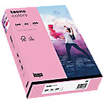 tecno DIN A4 Papier Pink 160 g/m² 250 Blatt von tecno